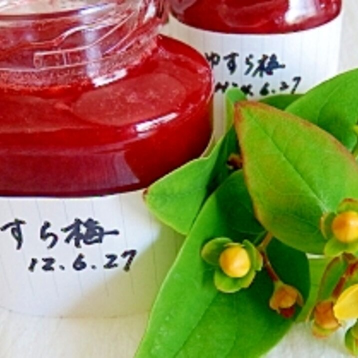 ユスラウメのジャム レシピ 作り方 By 夏はぜ 楽天レシピ ユスラウメのジャム レシピ 作り方 By 夏はぜ 楽天レシピ